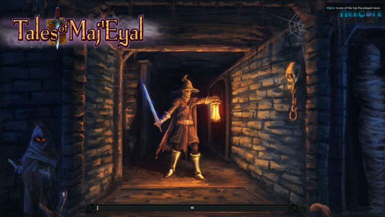 Tales of Maj’Eyal – Review